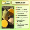 Тыква УГ1006 5 шт Unigen Seeds, Высокоурожайный сорт с отличной лёжкостью плодов, ЖивойОгород
