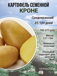 Картофель семенной Кроне (Крона) элита, сетка 5 кг